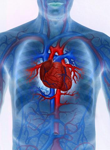 Wpływ kąpieli perełkowych na serce i układ krążenia