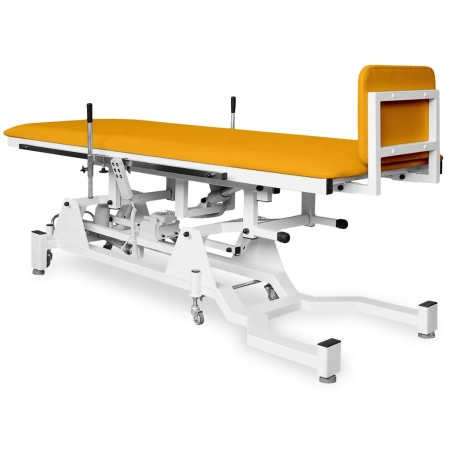 Pionizator NSR-P